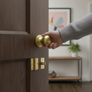 Premium Satin Brass Mushroom Mortice Door Knob Set with Complete Hardware for Elegant Interior Finishes