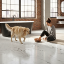 Premium Water-Resistant 8mm Laminate Flooring with Easy Installation, Suitable for Wet Rooms and Lifetime Guarantee