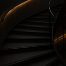 Black anodised aluminium stair nosing installed on luxury contemporary curved staircase