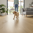Premium Water-Resistant 8mm Laminate Flooring with Aqua Protect Technology for Timeless Elegance and Durability