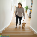 Premium Non-Slip Strips for Stairs - Clear 64cm x 3cm Pack of 16 for Safety - High-Quality Professional Grade for Industrial and Commercial Applica...