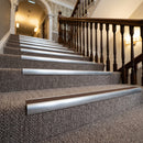 Brown insert carpet stair nosings on a taupe carpeted hotel staircase