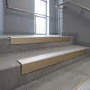 Light Bronze raked back aluminium stair nosing 62x55mm with Satin Aluminium infill, fitted to a concrete step