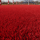 Red artificial playground safety turf on a running track area with red and white bollards and a climbing net